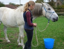 manor farm 3