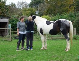 manor farm 6