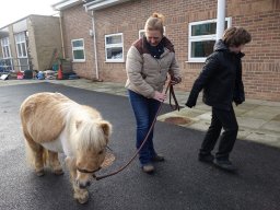 Cambridgeshire Equine Assisted Learning
